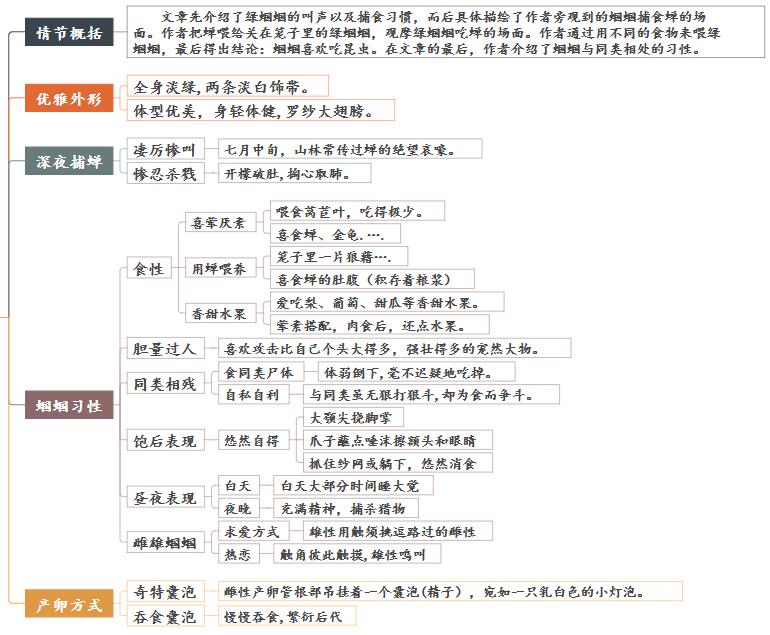 绿色蝈蝈简介图片