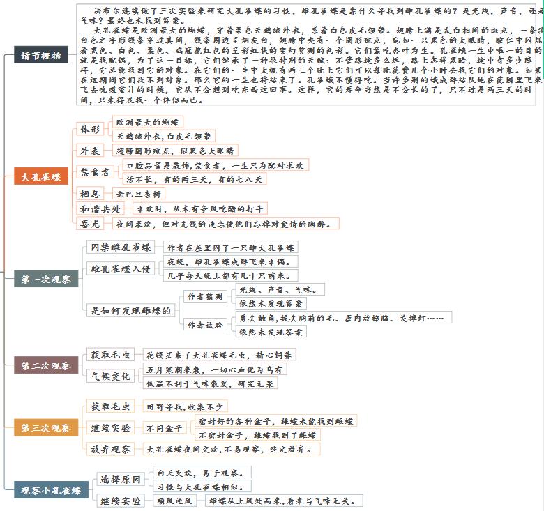 昆虫记大孔雀蝶概括图片