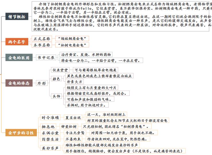 昆虫记松树鳃思维导图图片