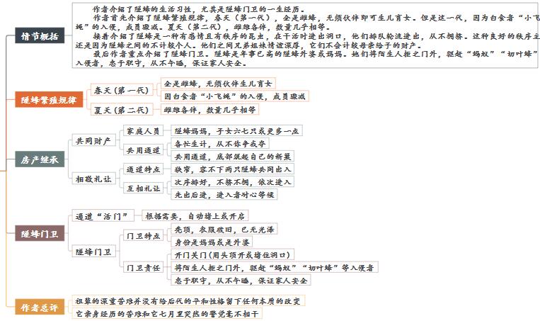 隧蜂思维导图图片