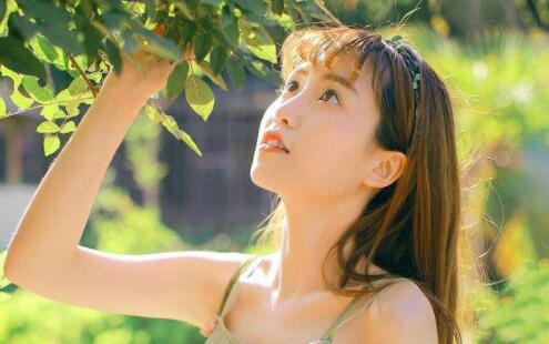 book 6: chicken soup for the soul by jack canfield and mark