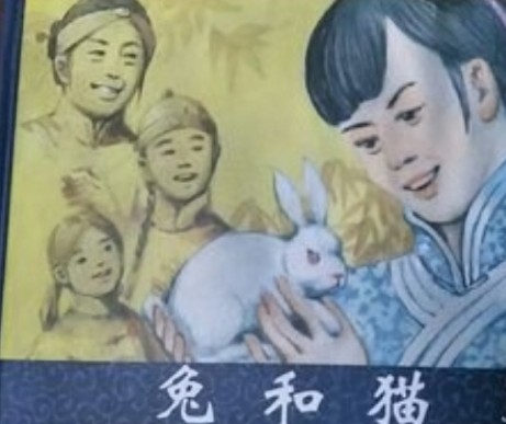 兔和猫读后感800字