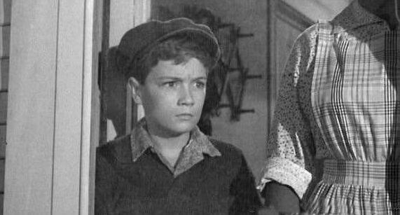 杀死一只知更鸟写作背景是什么介绍