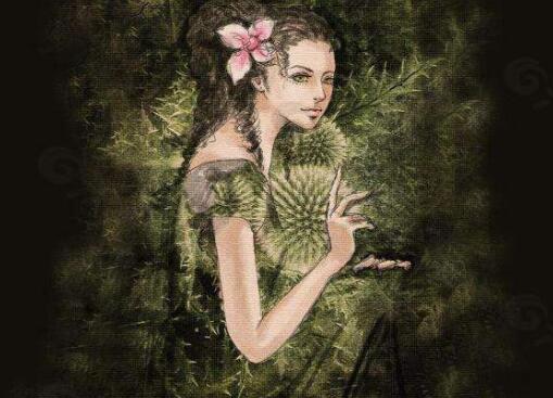 茶花女 玛格丽特的悲剧命运的原因 作品人物网