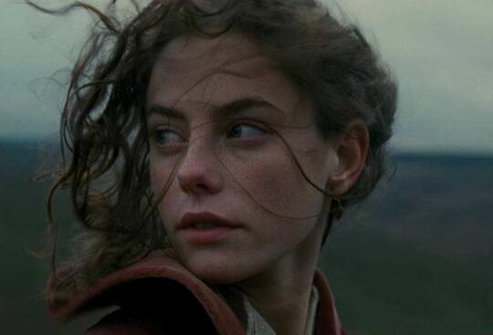 《呼啸山庄》的写作背景是什么介绍