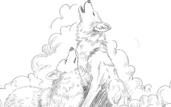 沈石溪《狼王梦》读后感(100字)六篇