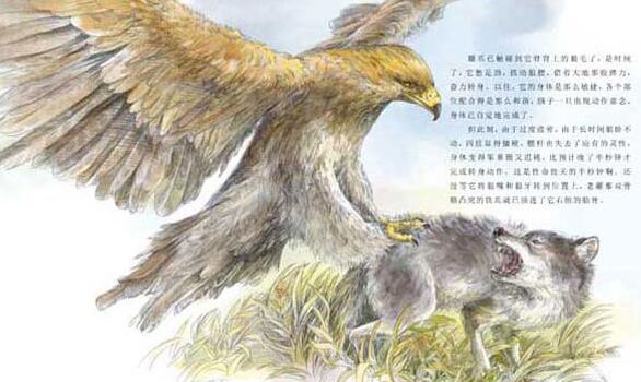 沈石溪《狼王梦》读后感800字(三篇)