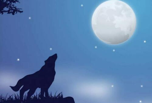 读《狼王梦》有感(四篇)