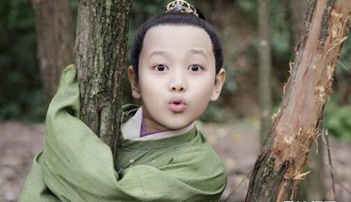 大宋宫词刘娥儿子赵吉结局死了吗?