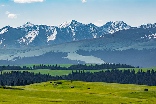 曾国藩《冰鉴·二十三·青主忧惊,白主哭丧》原文及赏析-作品人物网