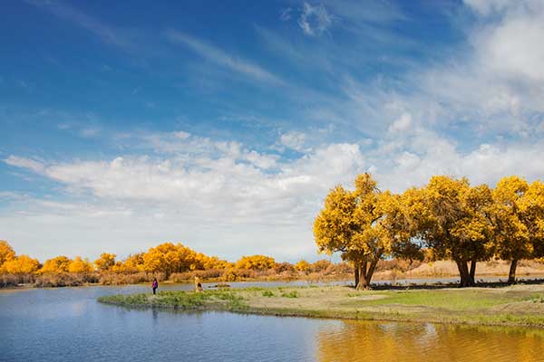 道德经 第三章 圣人之治 原文及鉴赏 作品人物网 道德经 第三章 圣人之治 原文及鉴赏 作品人物网